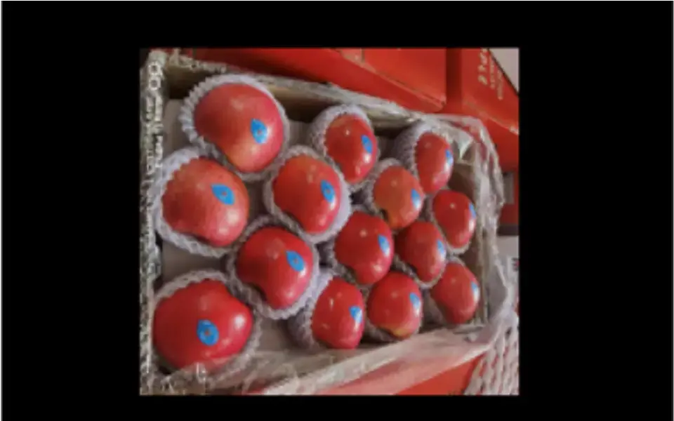 Fuji Apple