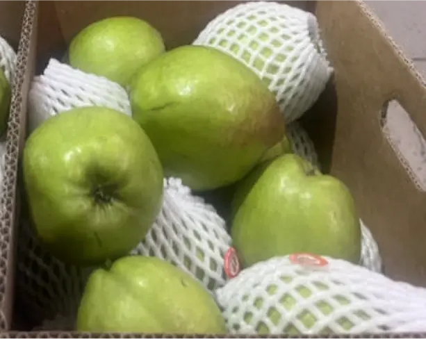 Xinli No.7 Pear