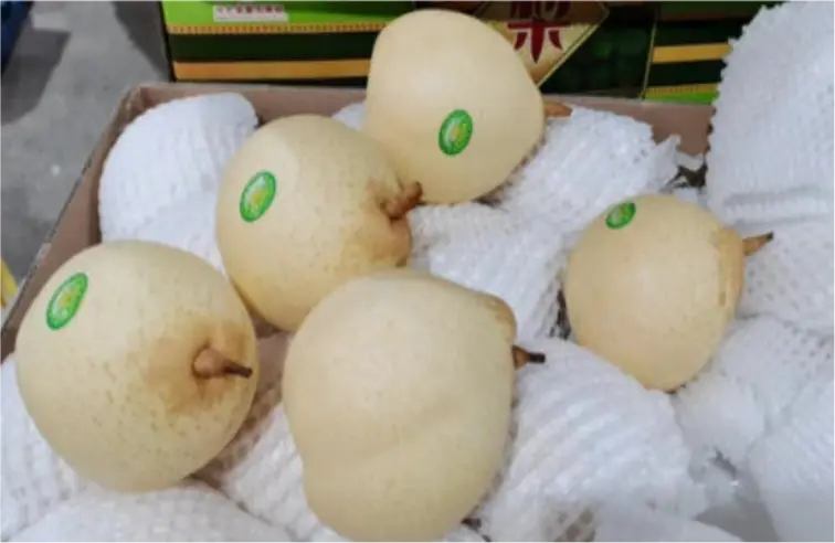 Yapear