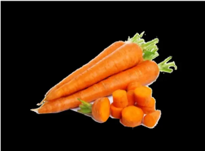 Fresh Carrot