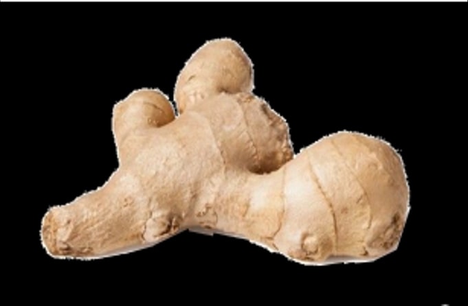 FRESH GINGER