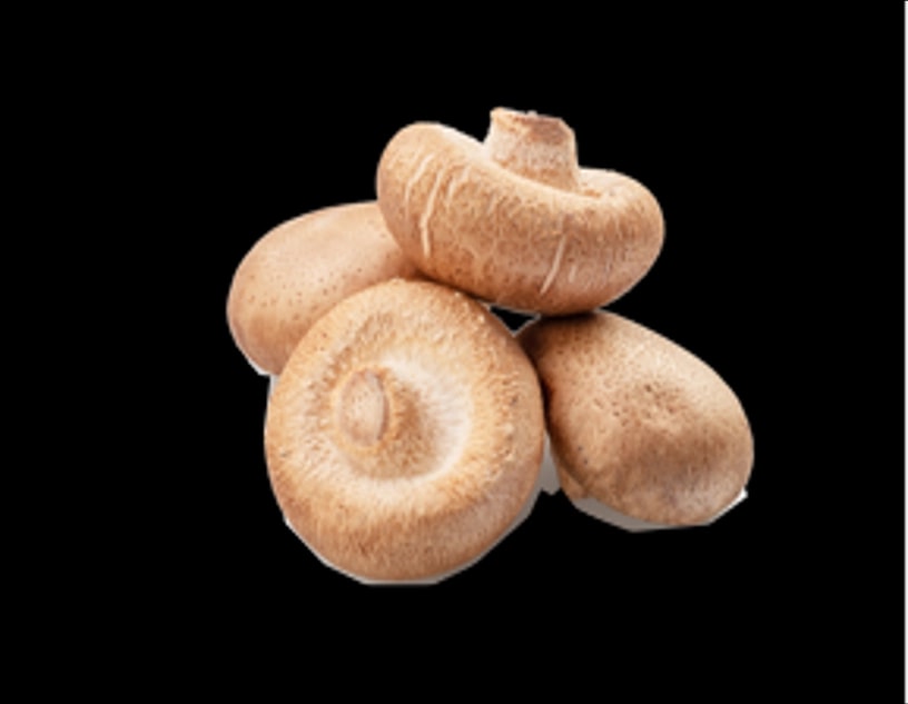 FRESH SHIITAKE MUSHROOM